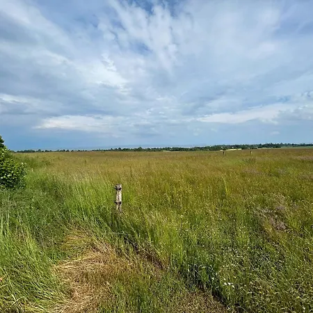 Summer With View Near Aarhus Malling