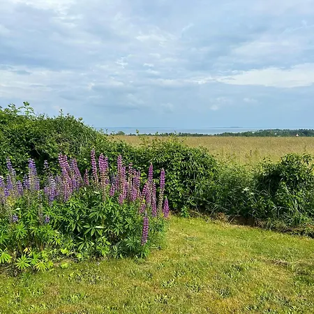 Summer With View Near Aarhus