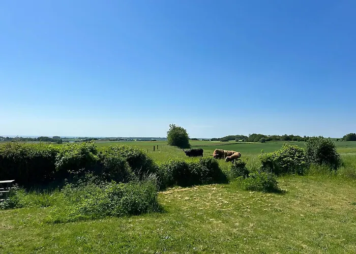 Summer With View Near Aarhus