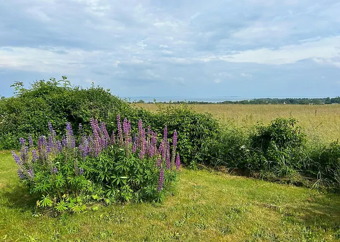 Sommerhus Med Udsigt Naer Aarhus